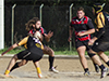 thumb_DSC_6565.jpg